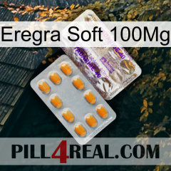 Eregra Soft 100Mg new12